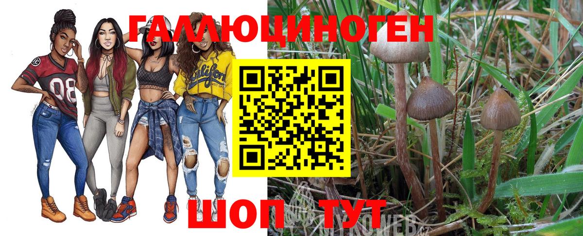 Галлюциногенные грибы Cubensis  Вход с VPN  Тихвин 