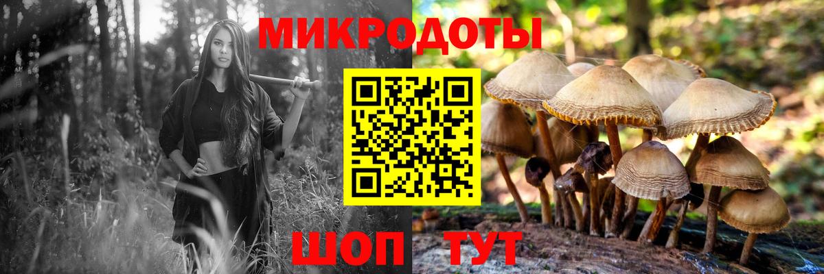 Псилоцибиновые грибы мицелий Тихвин